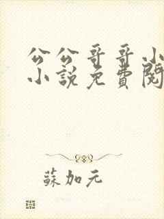 公公哥哥小叔子小说免费阅读无弹窗