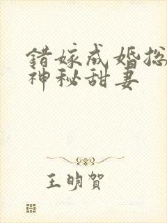 错嫁成婚总裁的神秘甜妻