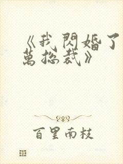 《我闪婚了个亿万总裁》