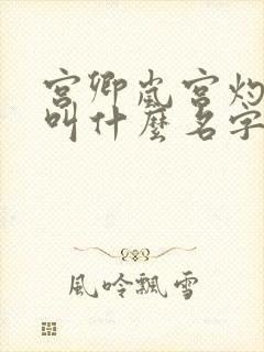 宫卿岚宫灼小说叫什么名字