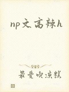 np文高辣h
