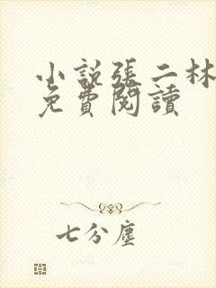 小说张二林王慧免费阅读