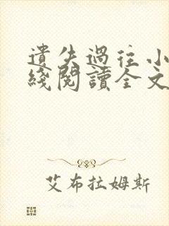 遗失过往小说在线阅读全文无弹窗