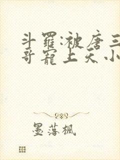 斗罗:被唐三哥哥宠上天小说