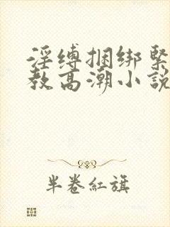 淫缚捆绑紧缚调教高潮小说