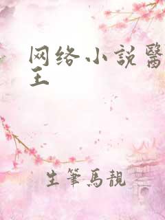 网络小说医武兵王