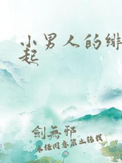 小男人的绯色崛起