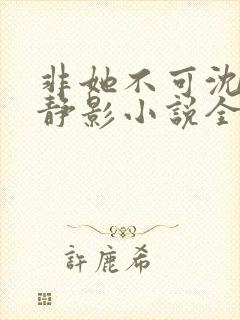 非她不可沈遇苏静影小说全文阅读