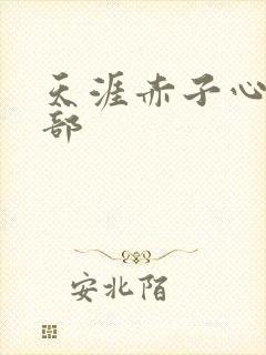天涯赤子心第二部