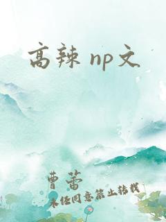 高辣 np文