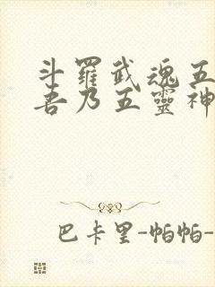 斗罗武魂五灵锁吾乃五灵神王免费阅读