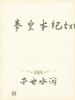 拳皇本纪txt