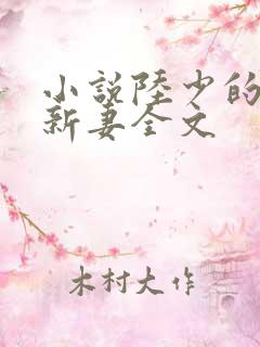 小说陆少的暖婚新妻全文
