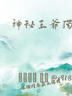 神秘王爷独宠妃