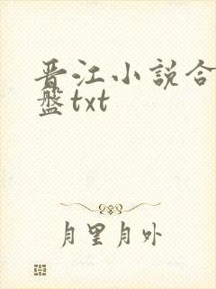 晋江小说合集网盘txt