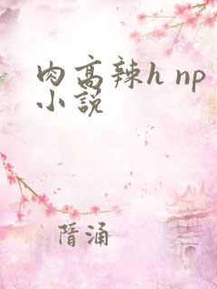 肉高辣h np小说
