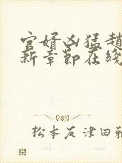 官婿凶猛赵阳最新章节在线阅读