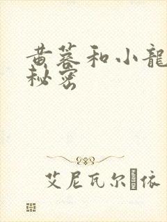 黄蓉和小龙女的秘密