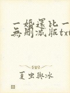 一婚还比一婚高无删减版txt
