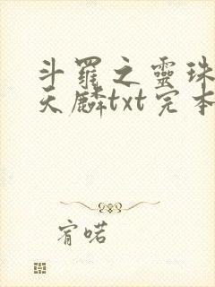 斗罗之灵珠神剑天麟txt完本免费下载