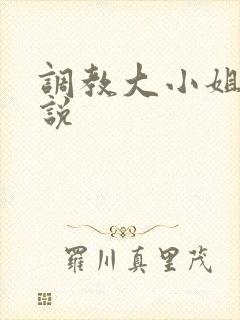 调教大小姐的小说