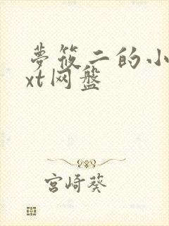 梦筱二的小说txt网盘
