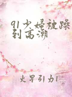 91少妇被躁爽到高潮