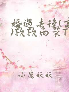 婚过去后(高干)欣欣向荣TXT下载