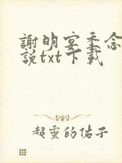 谢明宴季念窈小说txt下载