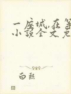 一座城,在等你小说全文免费阅读