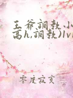 王爷调教小说(高h,调教)1v1