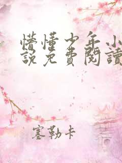 懵懂少年小兵小说免费阅读