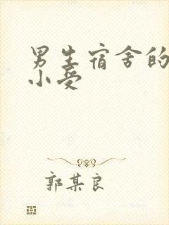 男生宿舍的公共小受