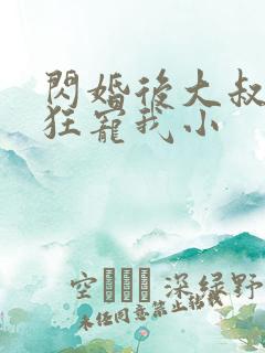 闪婚后大叔每天狂宠我小