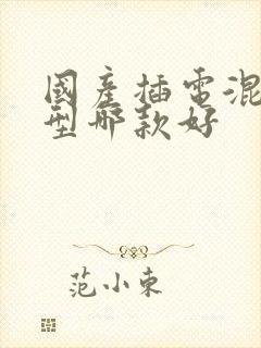 国产插电混动车型哪款好