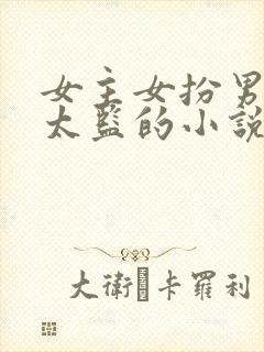 女主女扮男装是太监的小说