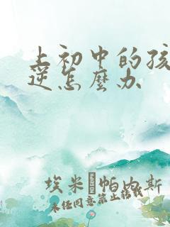 上初中的孩子叛逆怎么办