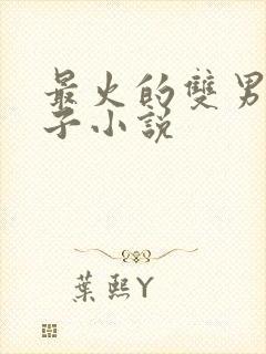 最火的双男主生子小说