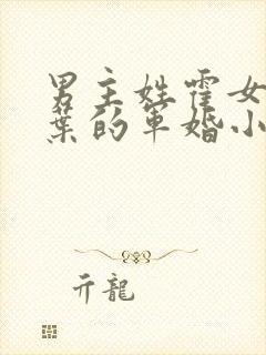 男主姓霍女主姓叶的军婚小说