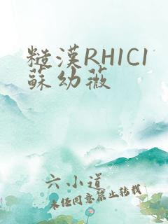 糙汉RH1C1苏幼薇