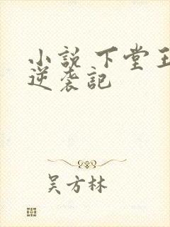小说 下堂王妃逆袭记
