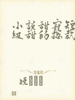 小说甜宠短篇超级甜的总裁文