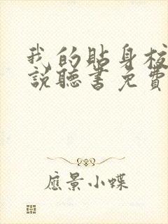 我的贴身校花小说听书免费全集