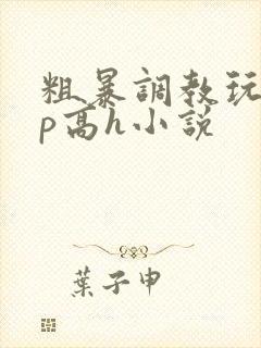 粗暴调教玩弄np高h小说