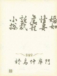 小说危情婚爱,总裁宠妻如命