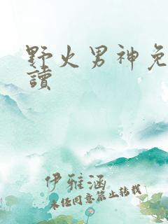 野火男神免费阅读
