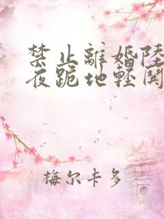 禁止离婚陆少夜夜跪地轻哄小说全文免费阅读