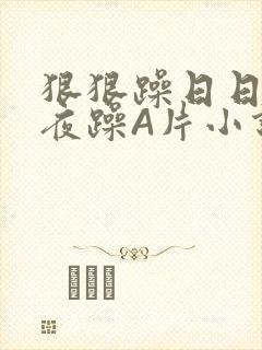 狠狠躁日日躁夜夜躁A片小说