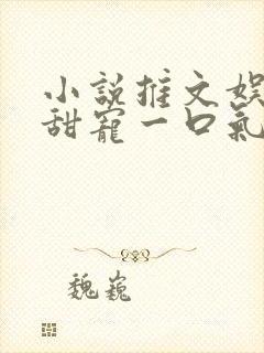 小说推文娱乐圈甜宠一口气看完