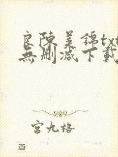 良陈美锦txt无删减下载